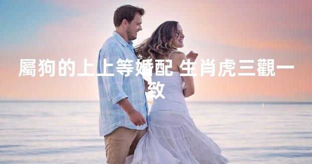 屬狗的上上等婚配 生肖虎三觀一致